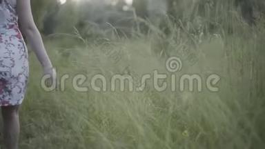 女孩穿着一件长裙，在夕阳下带着高大的草地在田野里散步，双手触摸草地，镜头移动。